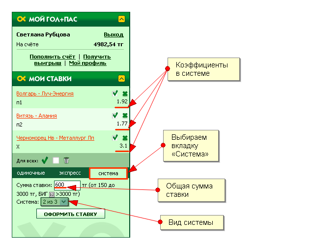 Пример ставки «Система»